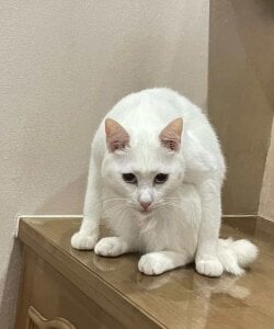 Gxhmelx-xiaoxiao 调皮捣蛋❤️ Pic 8