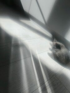 welcomepirncess Public Hình 5