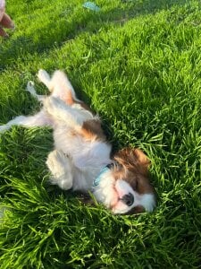 CyberMia My important part of life Pic 7