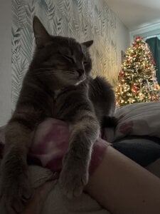 My kitty’s ❤️ od SashaMeow  8 snímek