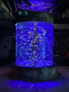 kneekeytar's XXX Nude Photo 3