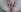 Tracy_Sergio209 Pussy photo with cum Pic 2