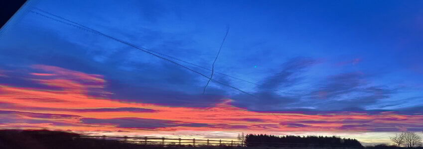 Gyno_Rod Public Εικόνα 5