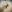 LessaWebSmall photos for your imagination图片 2