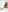 Caro_martinezz CARO # 3 Pic