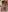 GangBangKitty Gabgbang - 6 hard cocks fuck me hard Photo 5