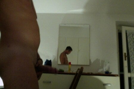 Public de ItalianCurl18cm85  Imagens