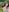 Alisha_Shy ride in the equestrian club Pic 8