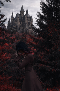 Kitty_gaze Ｎａｔｕｒｅ 사진 3