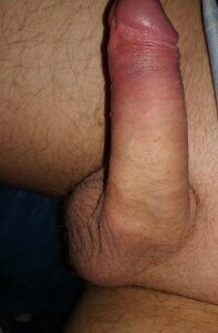 SteuerMich Public Pic