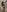 CataleyaRusso Sexy hotel foam Pic 8