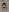 Lollipop_GirlsLengerie照片 4
