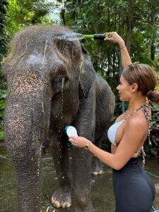 AvaHeath Barefoot Bliss in Bali Pic 4