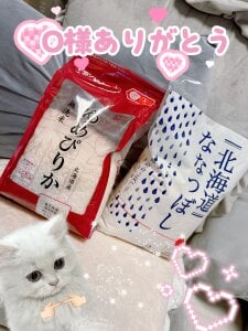 ほしリス 🎁 Thank you 🩵 de sanasannano Foto 3