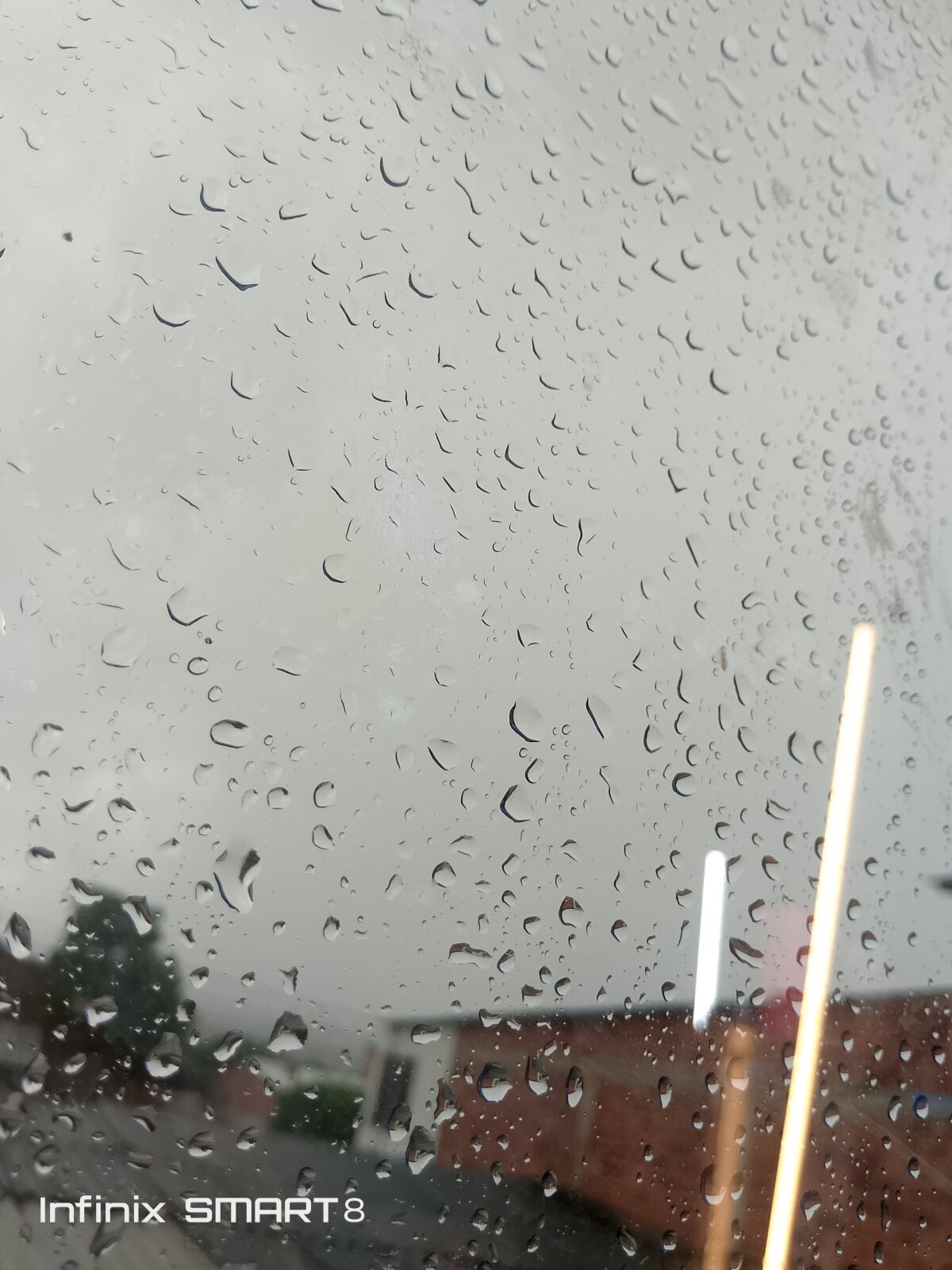 MaxSteel155 熱門圖片 494