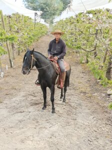 Felix_Thunder mis fotos Fotka 3