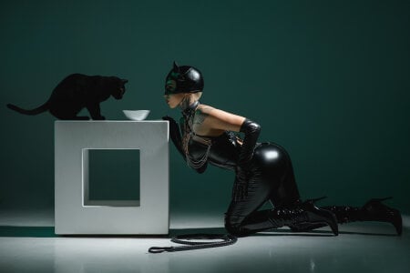 AliceShazaham_ Catwoman Εικόνα 8
