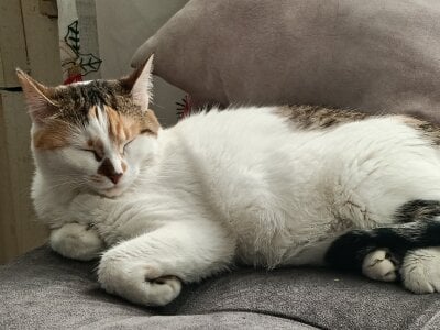 charlloteevans_XMichis Bild 6