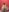 Venusluxodomme #ass #bunda #fetish 사진 2