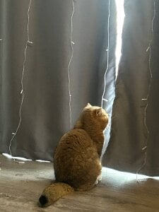   🤍 de MerlinMeyer  4 Imagens