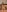 Ragdoll131 Nude tease Pic 2