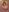 June695_ 🦶 Photo 3