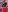 juana_petite My limbs are ready for you Pic 4