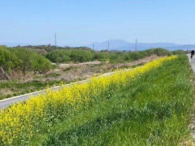 iiiviviii Public Pic