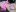 SissyHopeBoi Naughty pics 사진 6
