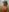 sara18clark NUDE Pic 2
