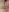 hot_momtobe Nippelklemmen🍒 Foto  5