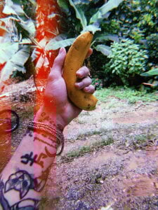 Public de Osonhodelas  5 photos