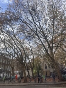 abella1116 Meee✨ Pic 4