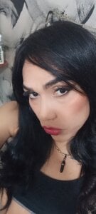 TransVenezuela1 Public Foto 2