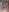 mysterouskat69Hope you like照片 6