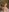SofiaAdamsTake a shower with me on vacation照片 4