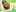 DaisyVibes Green screen nudes(for editing) Pic 8