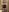 baby_brownie Flashing (PART 2) 사진 9