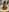 Rosalie_twinss kullanıcısının I hope your Christmas was as good as mine 😈🧑‍🎄🧑‍🎄 albümü -  fotoğraf