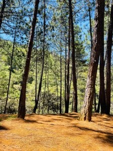 jamescurly00 Jamescurly  7. fénykép