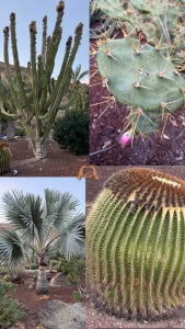 GinaValentinna Travel view😍 Pic