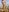 Samira-Summer Samira & Steve naked at a wild beach Pic 8