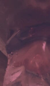 Public de Nuna_GG01  3 Imagens