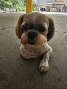 SophiaPotts Part of me صورة واحدة|SophiaPotts Part of me صورتان|SophiaPotts Part of me  7 صور|SophiaPotts Part of me  7 صورة