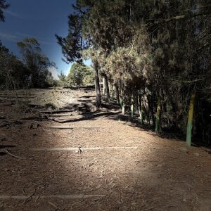 AustinkingのNatureの 5枚の写真