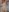Missalex_xo My naughty little pics😈 Pic