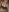 _Lena-Rose_ A short Shoot 💦🍆 Pic