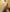 ilonna2025 Sexy Naked Pic 4