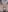 _Bella_Candy_ Pack 1 Photo