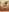 Juliana_Saenzz My neighbor takes pictures of me naked and gets hard. Pic